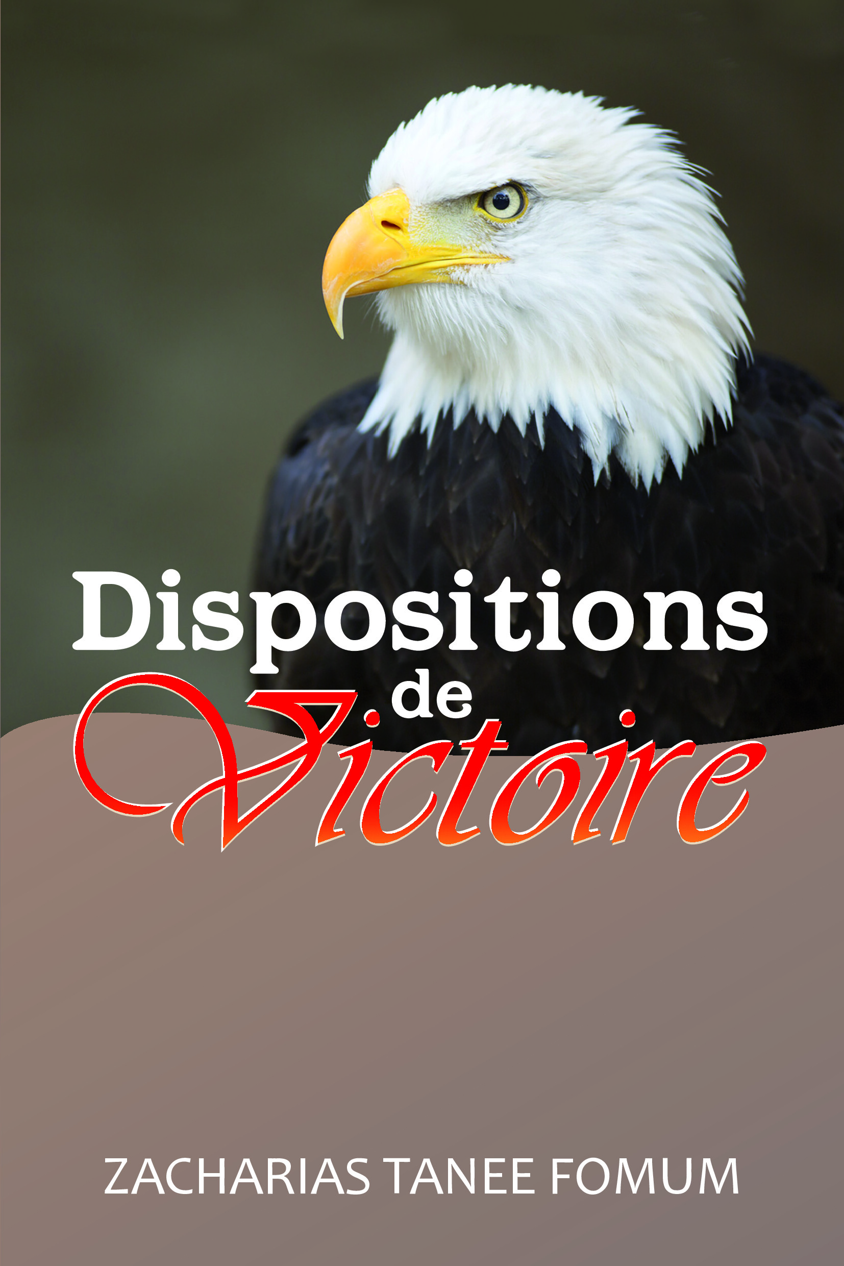 Dispositions de victoire