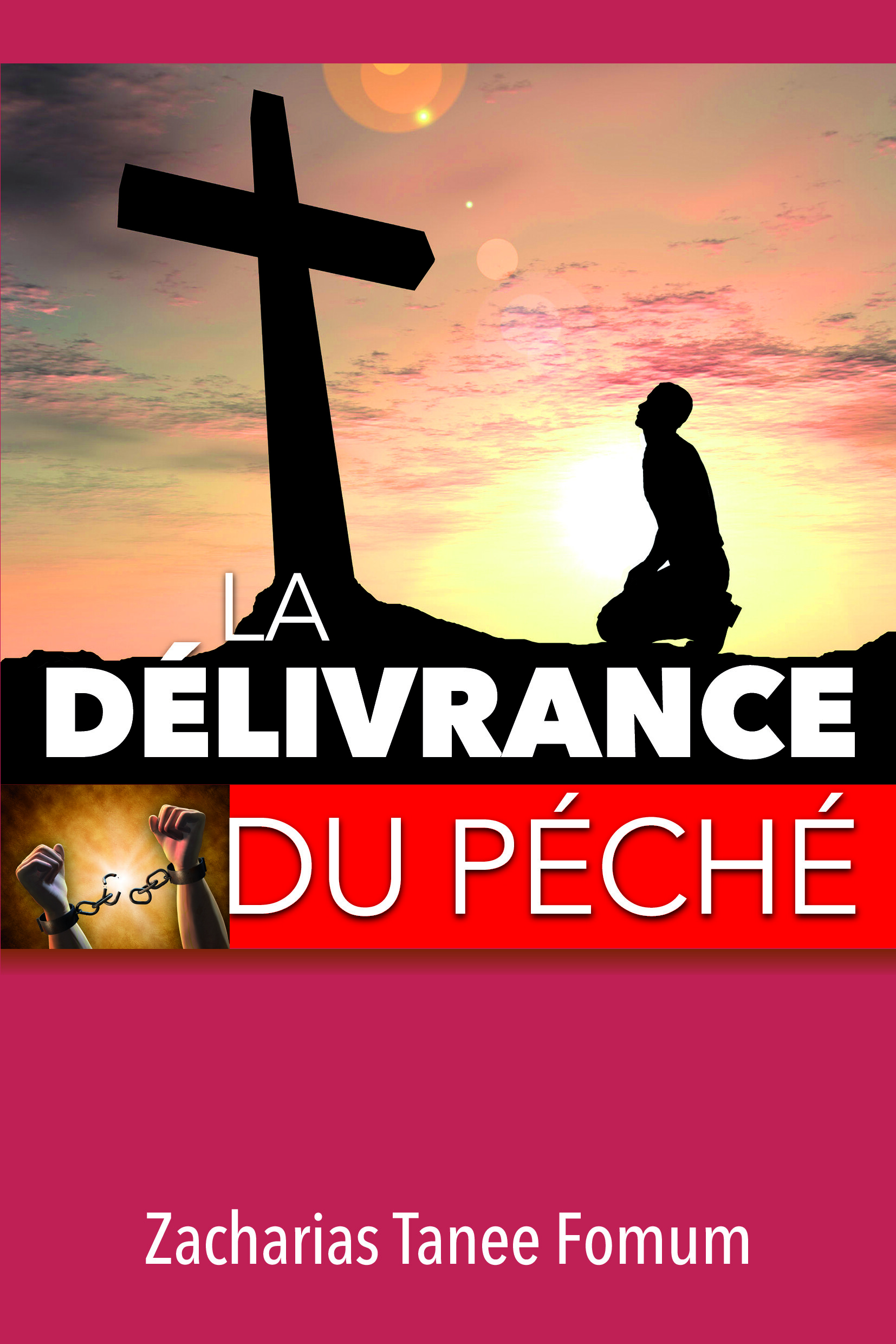 Couverture — La délivrance du péché