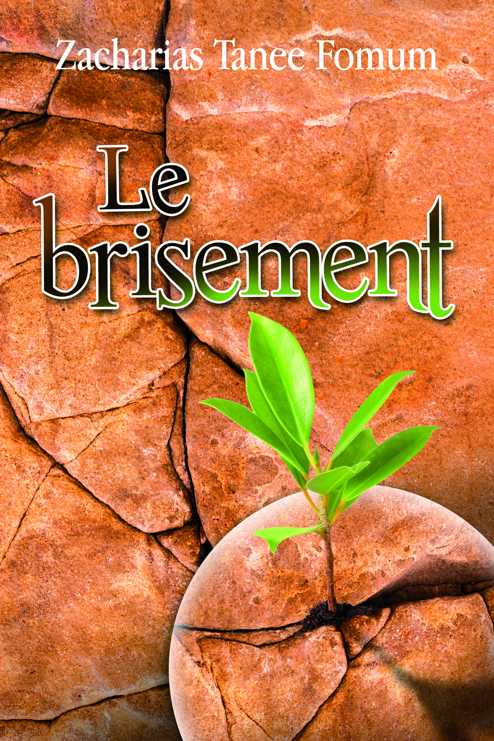 Couverture — Le brisement