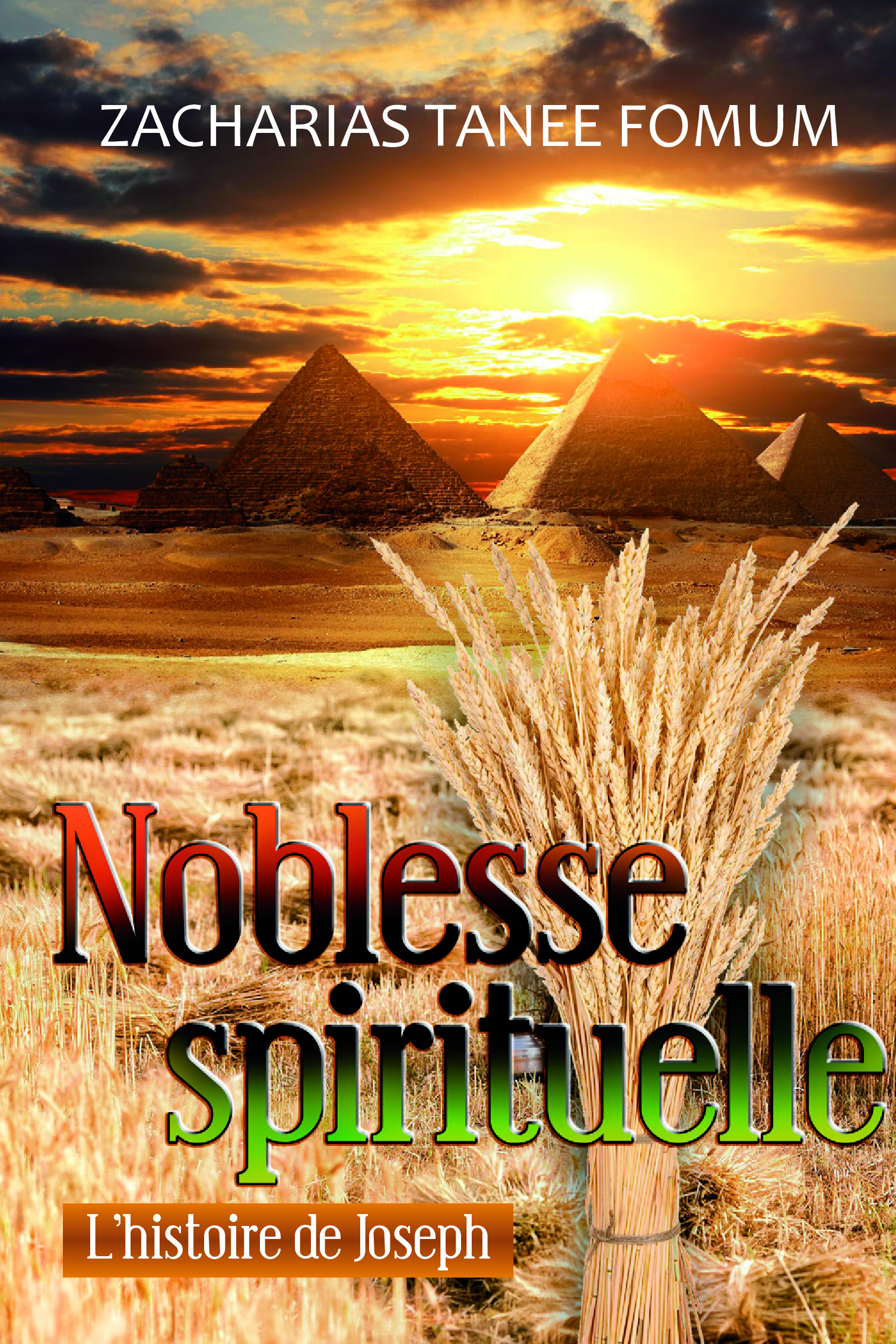 Couverture — Noblesse spirituelle
