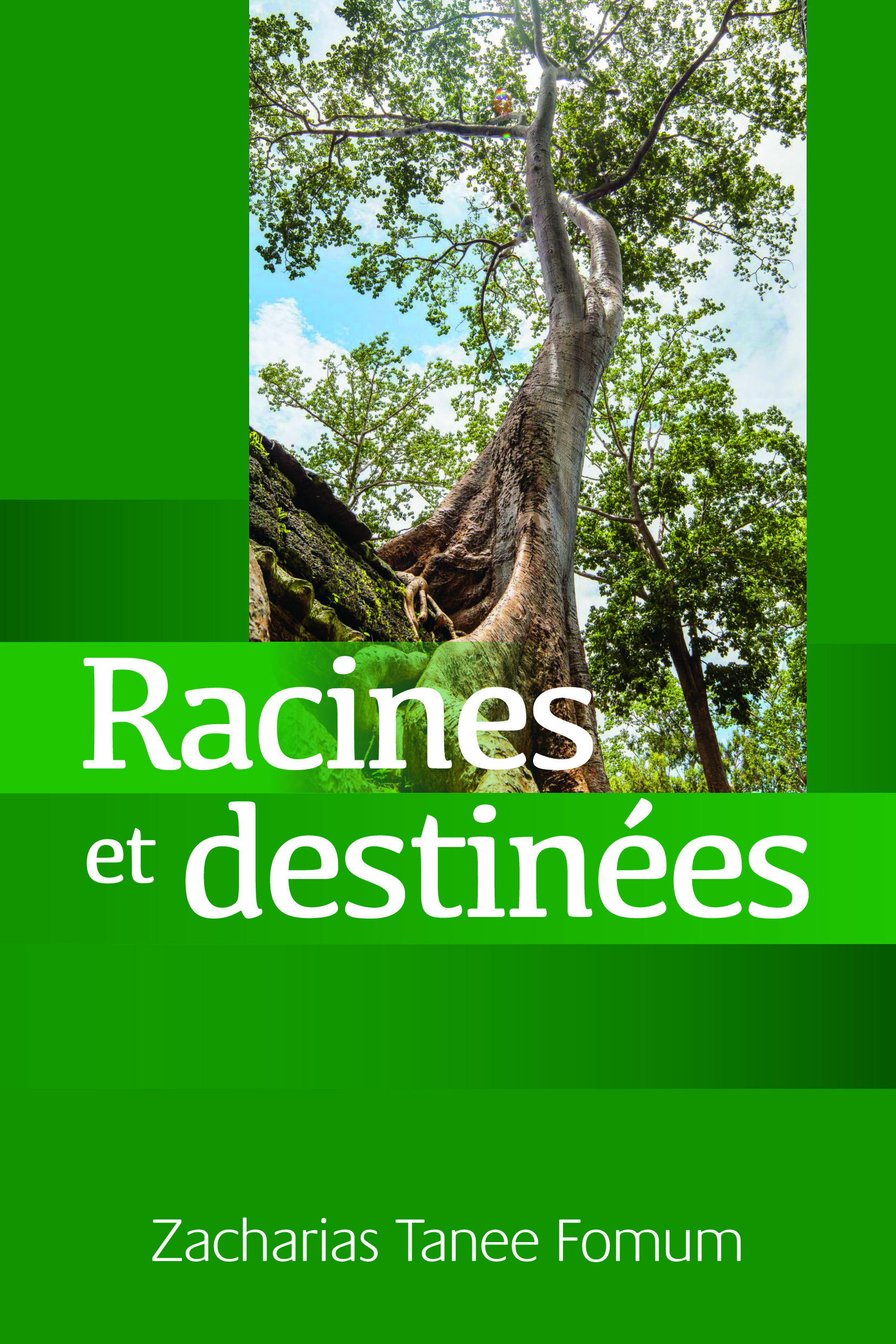 Couverture — Racines et destinées